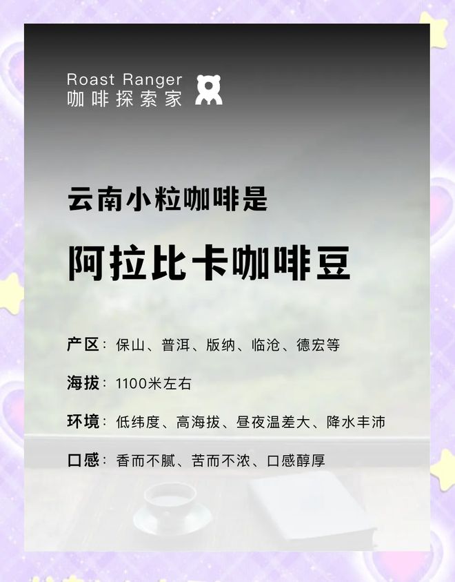 彩云之南的馥郁传奇开元棋牌云南咖啡：(图4)