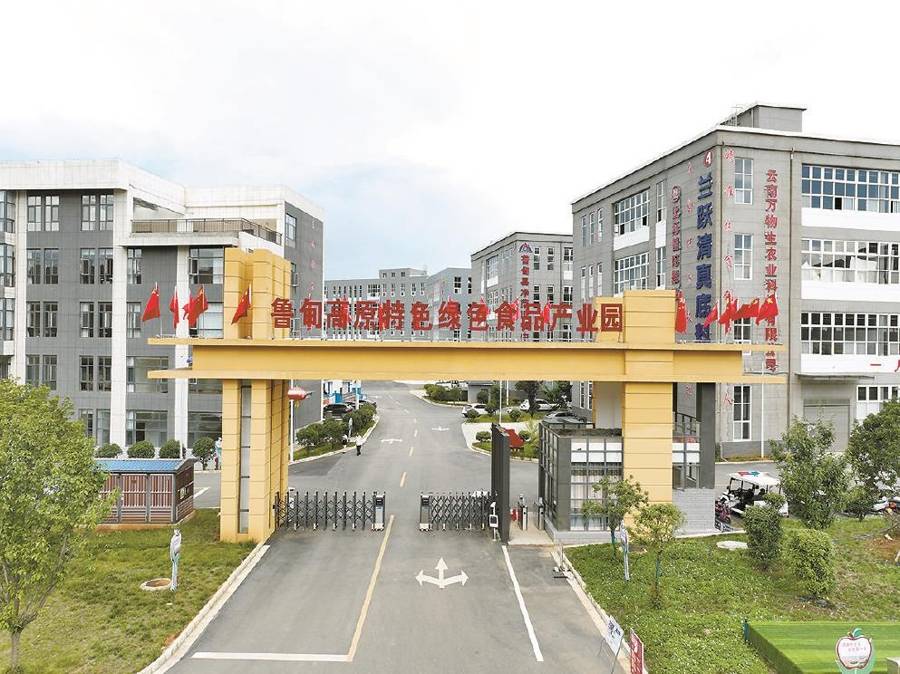 作：在中国式现代化进程中开创新局面开元棋牌app向美好出发｜沪滇协